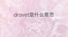 dravet是什么意思 dravet的中文翻译、读音、例句