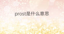 prost是什么意思 prost的中文翻译、读音、例句