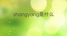 shangyang是什么意思 shangyang的中文翻译、读音、例句