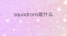 squadrons是什么意思 squadrons的中文翻译、读音、例句
