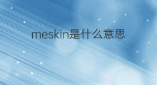 meskin是什么意思 meskin的中文翻译、读音、例句