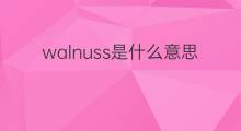 walnuss是什么意思 walnuss的中文翻译、读音、例句
