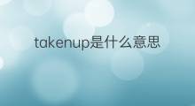 takenup是什么意思 takenup的中文翻译、读音、例句