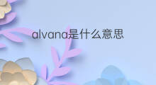 alvana是什么意思 alvana的中文翻译、读音、例句
