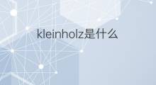 kleinholz是什么意思 kleinholz的中文翻译、读音、例句
