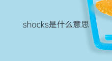 shocks是什么意思 shocks的中文翻译、读音、例句
