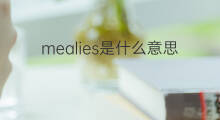 mealies是什么意思 mealies的中文翻译、读音、例句