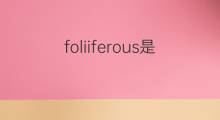 foliiferous是什么意思 foliiferous的中文翻译、读音、例句