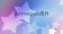 yurimaguas是什么意思 yurimaguas的中文翻译、读音、例句