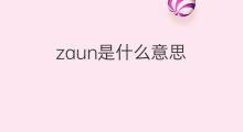 zaun是什么意思 zaun的中文翻译、读音、例句
