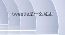 tweetie是什么意思 tweetie的中文翻译、读音、例句
