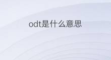 odt是什么意思 odt的中文翻译、读音、例句
