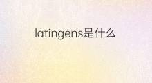 latingens是什么意思 latingens的中文翻译、读音、例句