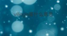 viliage是什么意思 viliage的中文翻译、读音、例句