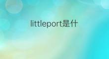 littleport是什么意思 littleport的中文翻译、读音、例句