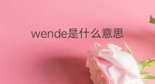 wende是什么意思 wende的中文翻译、读音、例句