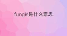 fungis是什么意思 fungis的中文翻译、读音、例句