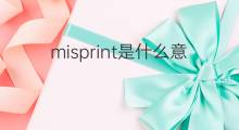 misprint是什么意思 misprint的中文翻译、读音、例句