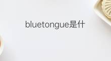 bluetongue是什么意思 bluetongue的中文翻译、读音、例句