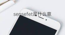 sensefet是什么意思 sensefet的中文翻译、读音、例句