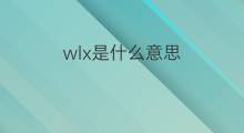 wlx是什么意思 wlx的中文翻译、读音、例句
