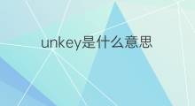 unkey是什么意思 unkey的中文翻译、读音、例句