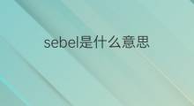sebel是什么意思 sebel的中文翻译、读音、例句