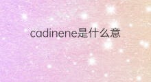 cadinene是什么意思 cadinene的中文翻译、读音、例句