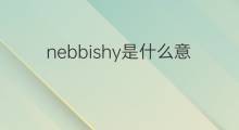 nebbishy是什么意思 nebbishy的中文翻译、读音、例句