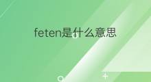feten是什么意思 feten的中文翻译、读音、例句