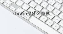 shakin是什么意思 shakin的中文翻译、读音、例句