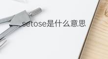 setose是什么意思 setose的中文翻译、读音、例句