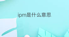 ipm是什么意思 ipm的中文翻译、读音、例句