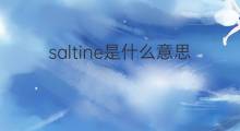 saltine是什么意思 saltine的中文翻译、读音、例句