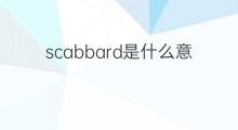 scabbard是什么意思 scabbard的中文翻译、读音、例句