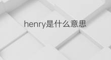 henry是什么意思 henry的中文翻译、读音、例句