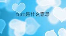 tura是什么意思 tura的中文翻译、读音、例句