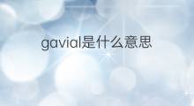 gavial是什么意思 gavial的中文翻译、读音、例句