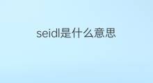 seidl是什么意思 seidl的中文翻译、读音、例句