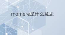 mamere是什么意思 mamere的中文翻译、读音、例句
