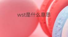 wst是什么意思 wst的中文翻译、读音、例句