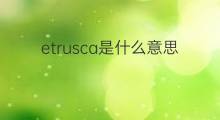 etrusca是什么意思 etrusca的中文翻译、读音、例句