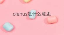 olenus是什么意思 olenus的中文翻译、读音、例句