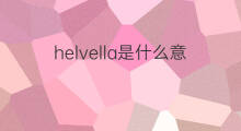 helvella是什么意思 helvella的中文翻译、读音、例句
