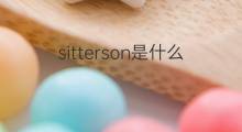sitterson是什么意思 英文名sitterson的翻译、发音、来源