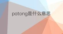 patong是什么意思 patong的中文翻译、读音、例句