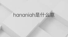hananiah是什么意思 英文名hananiah的翻译、发音、来源