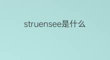 struensee是什么意思 struensee的中文翻译、读音、例句