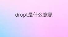 dropt是什么意思 dropt的中文翻译、读音、例句