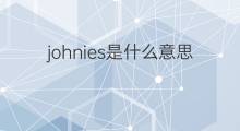 johnies是什么意思 johnies的中文翻译、读音、例句